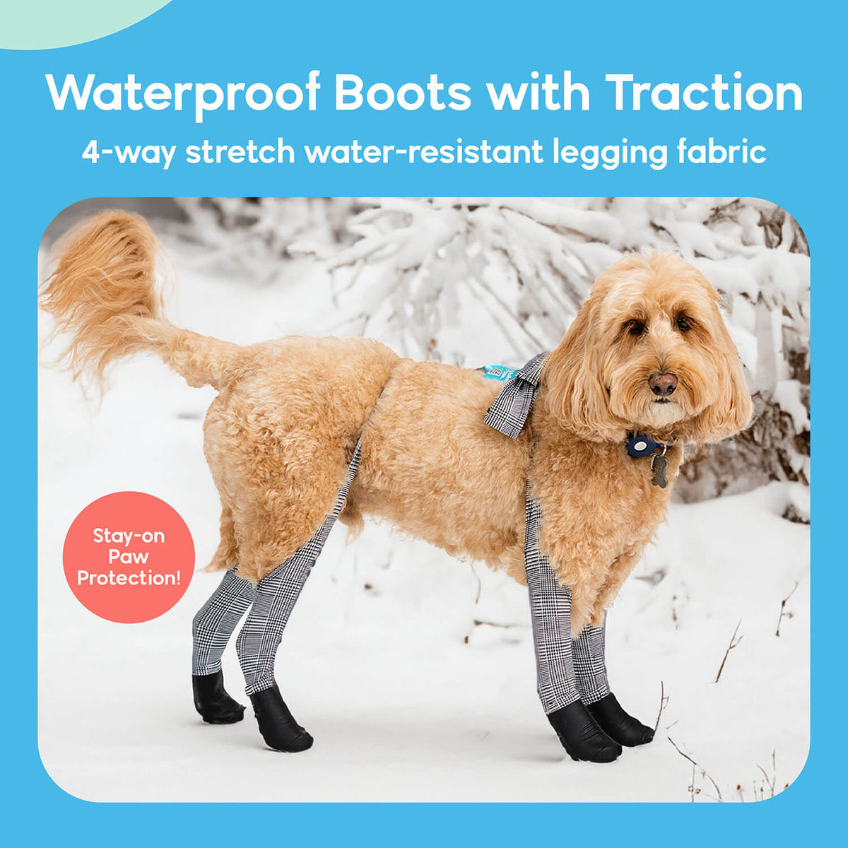Waterproof Dog Boot Leggings for Winter Walks, Seam-Free TPE Paw Covers and Full-Leg Protection source image 45