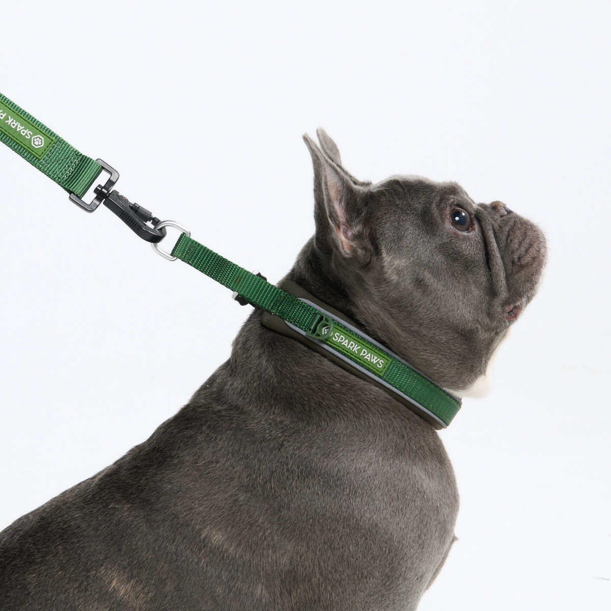 Cushioned Martingale Dog Collar for Gentle Leash Guidance, Limited-Cinch Design in Five Sizes source image 46