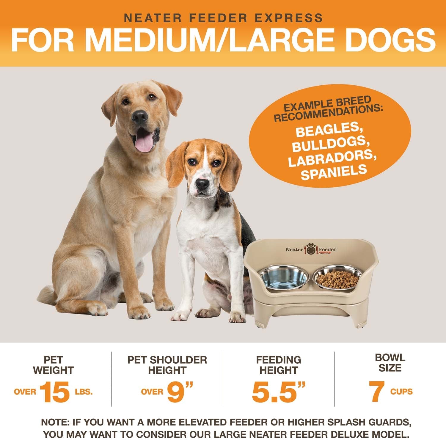 Elevated Mess-Proof Pet Feeding Station, Spill-Containment Design and Dishwasher-Safe Stainless Steel Bowls source image 46