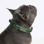 Cushioned Martingale Dog Collar for Gentle Leash Guidance, Limited-Cinch Design in Five Sizes source image 47