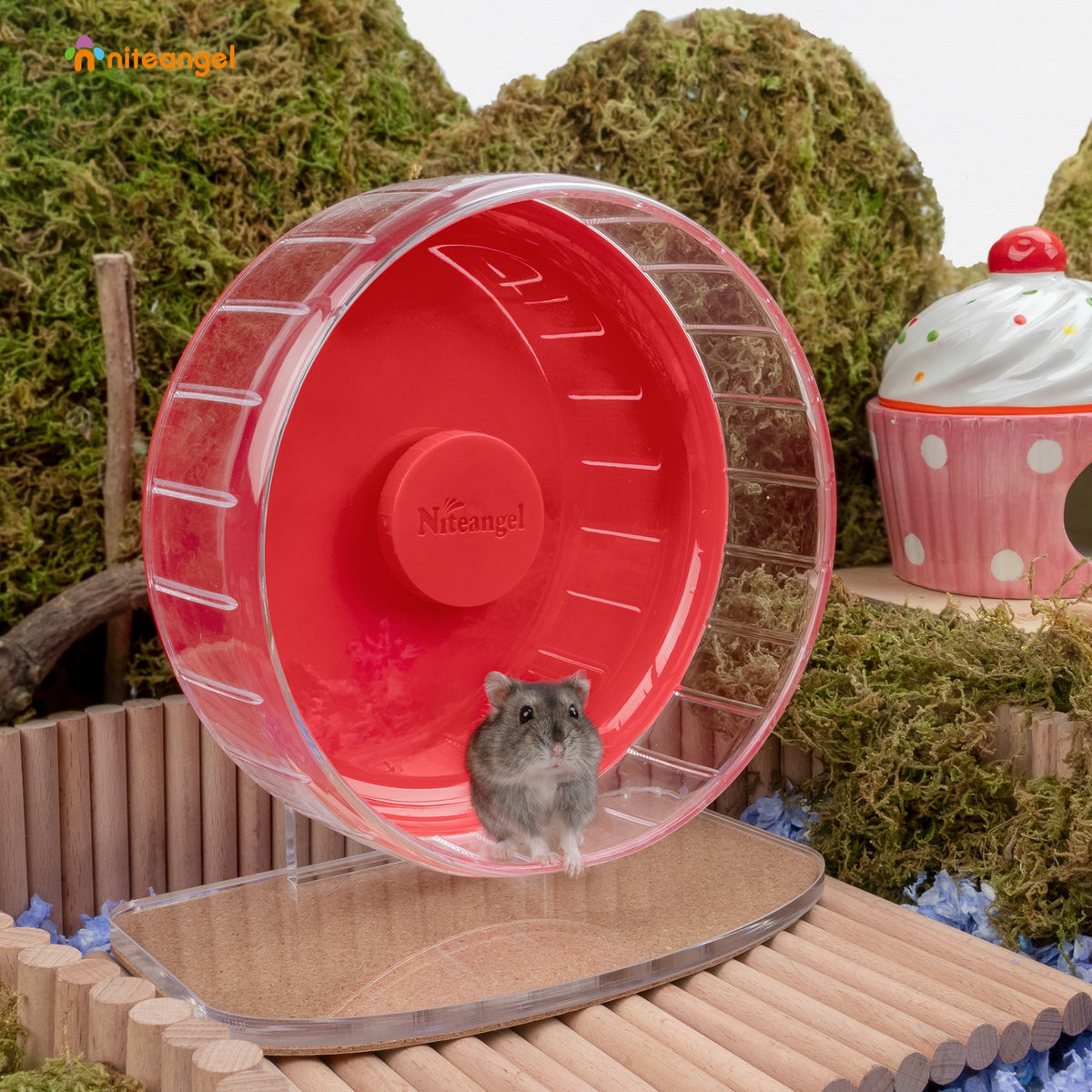 Super-Silent Hamster Exercise Wheel with Adjustable Height and Dual-Bearing Spinner in Four Sizes source image 47