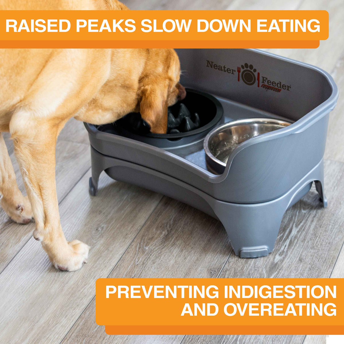 Slow Feeder Dog Bowl, Nine-Peak Non-Skid Two-Cup Design for Flat-Faced and Fast-Eating Dogs source image 48