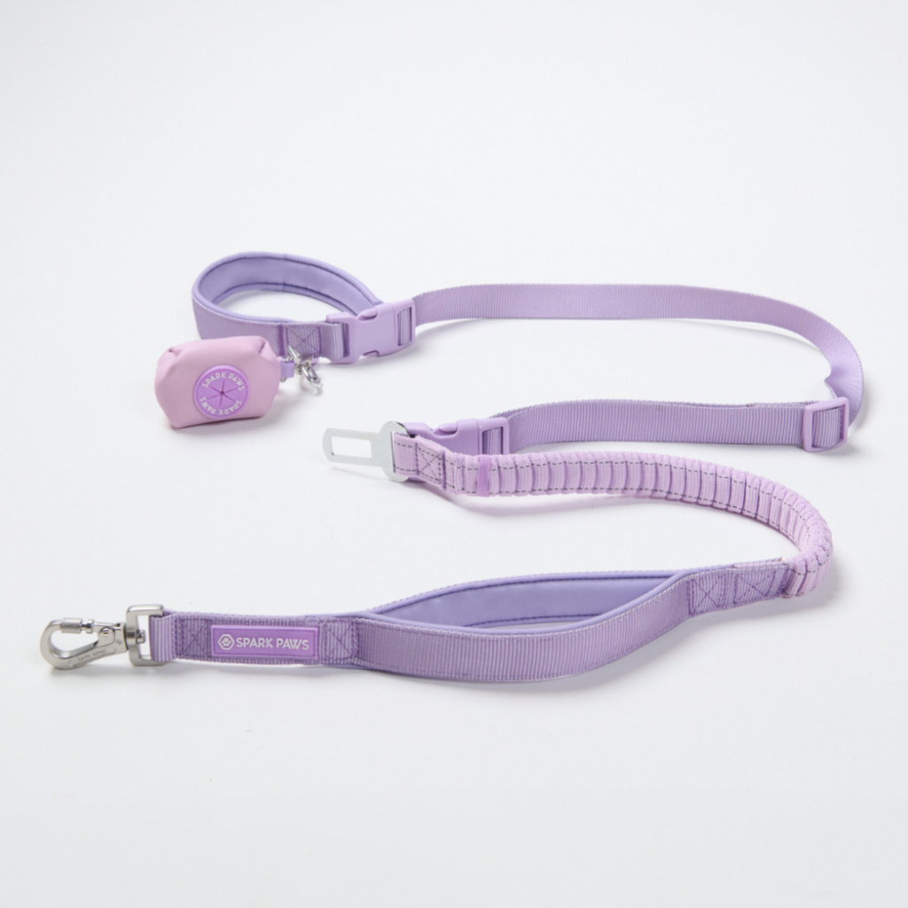 Hands-Free Dog Leash and Waste Bag Holder Set, Bungee Control and Dual Handles for Everyday Walks source image 48