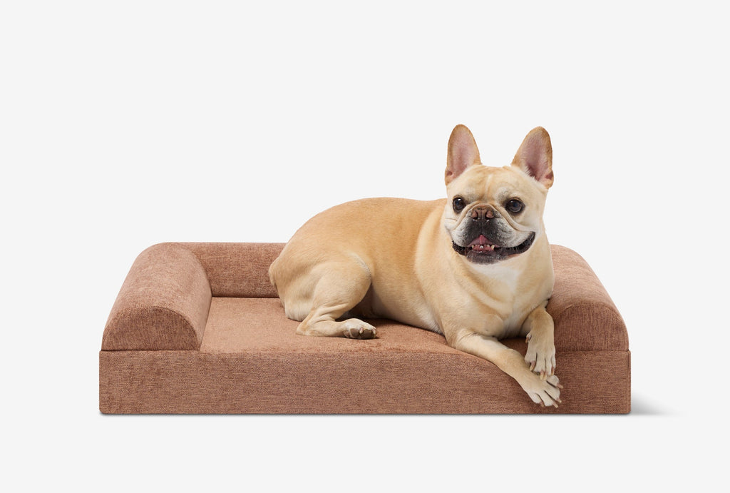 Orthopedic Dog Bed for Small and Medium Dogs, 4-Inch Layered Foam in Headrest and Sofa Styles source image 49