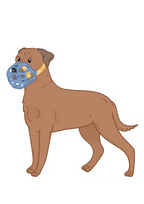 Dog Basket Muzzle product image 49