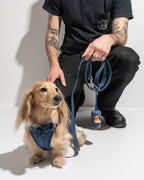 Cushioned No-Pull Dog Harness product image 43