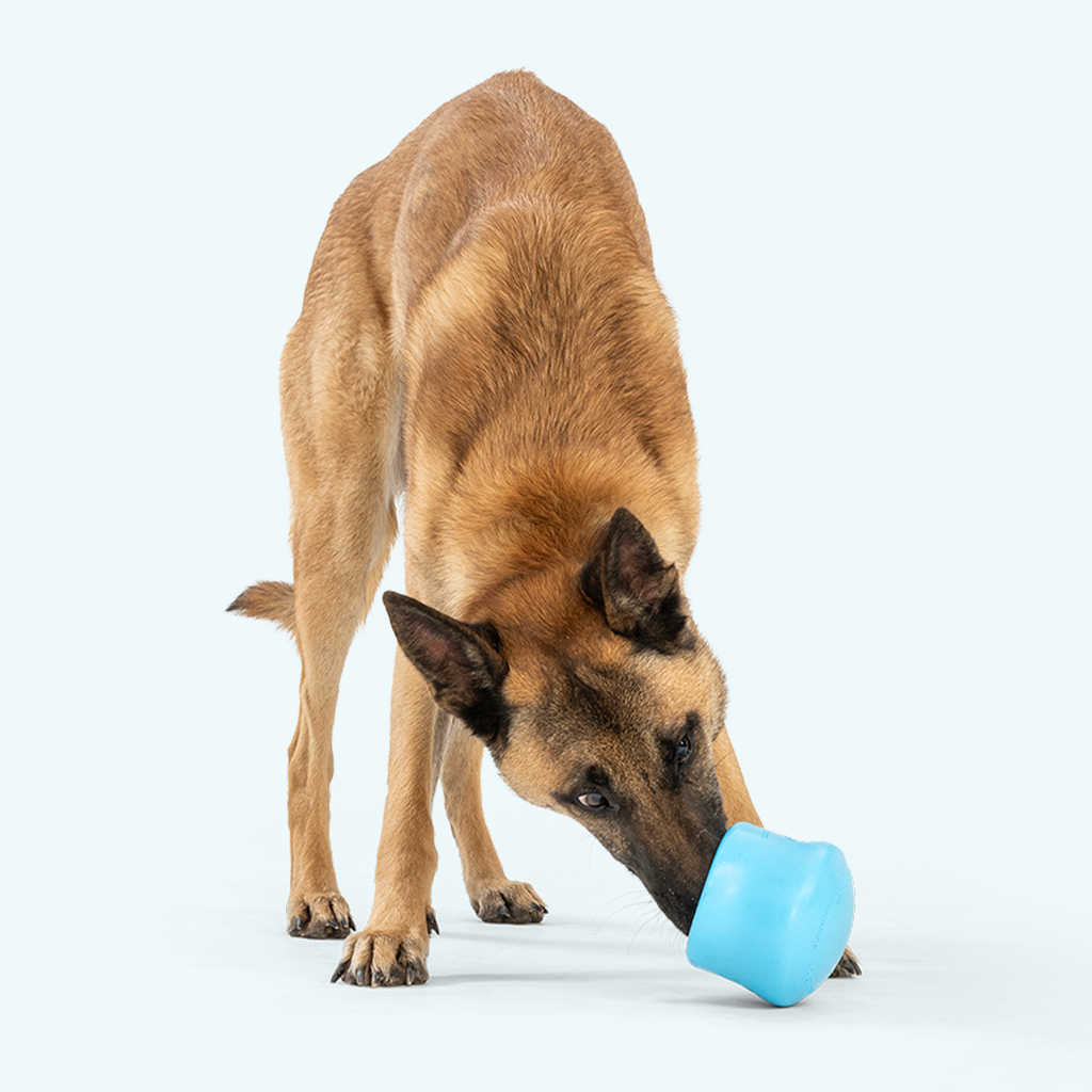 Fillable Dog Puzzle Toy product image 4