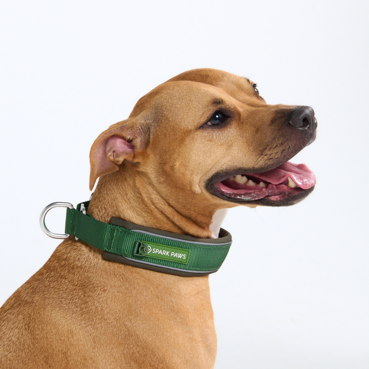 Cushioned Martingale Dog Collar for Gentle Leash Guidance, Limited-Cinch Design in Five Sizes source image 51
