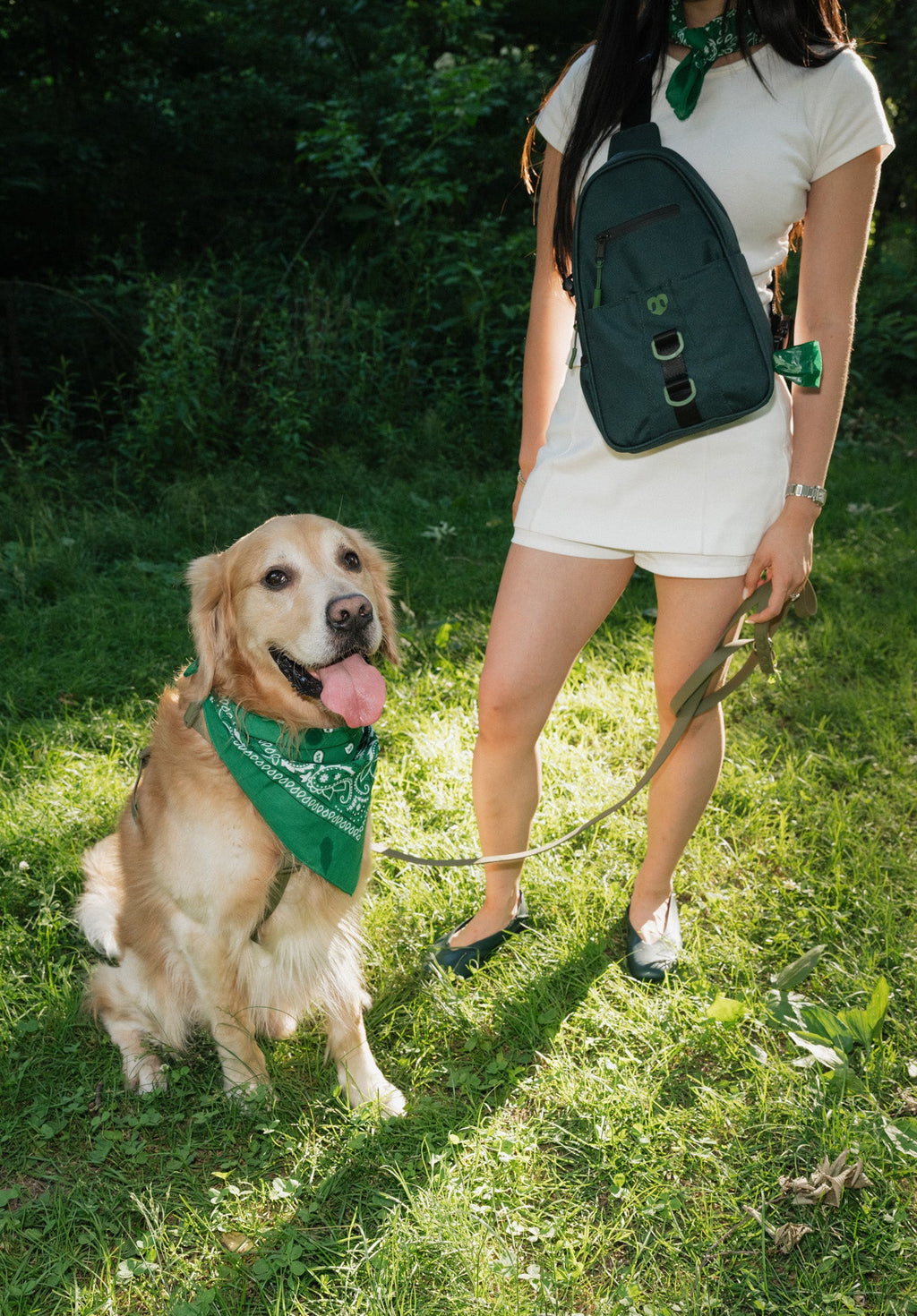 Waterproof Dog Walking Shoulder Bag, Organized Treat and Waste Storage for Training and Daily Outings source image 52