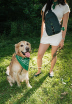 Waterproof Dog Walking Shoulder Bag, Organized Treat and Waste Storage for Training and Daily Outings source image 52