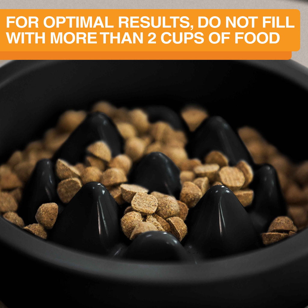 Slow Feeder Dog Bowl, Nine-Peak Non-Skid Two-Cup Design for Flat-Faced and Fast-Eating Dogs source image 53