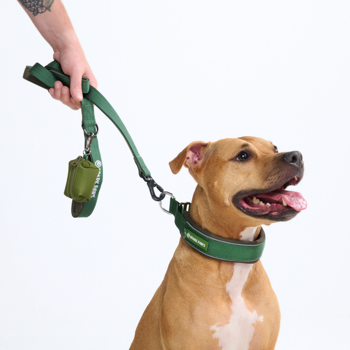 Cushioned Martingale Dog Collar for Gentle Leash Guidance, Limited-Cinch Design in Five Sizes source image 53