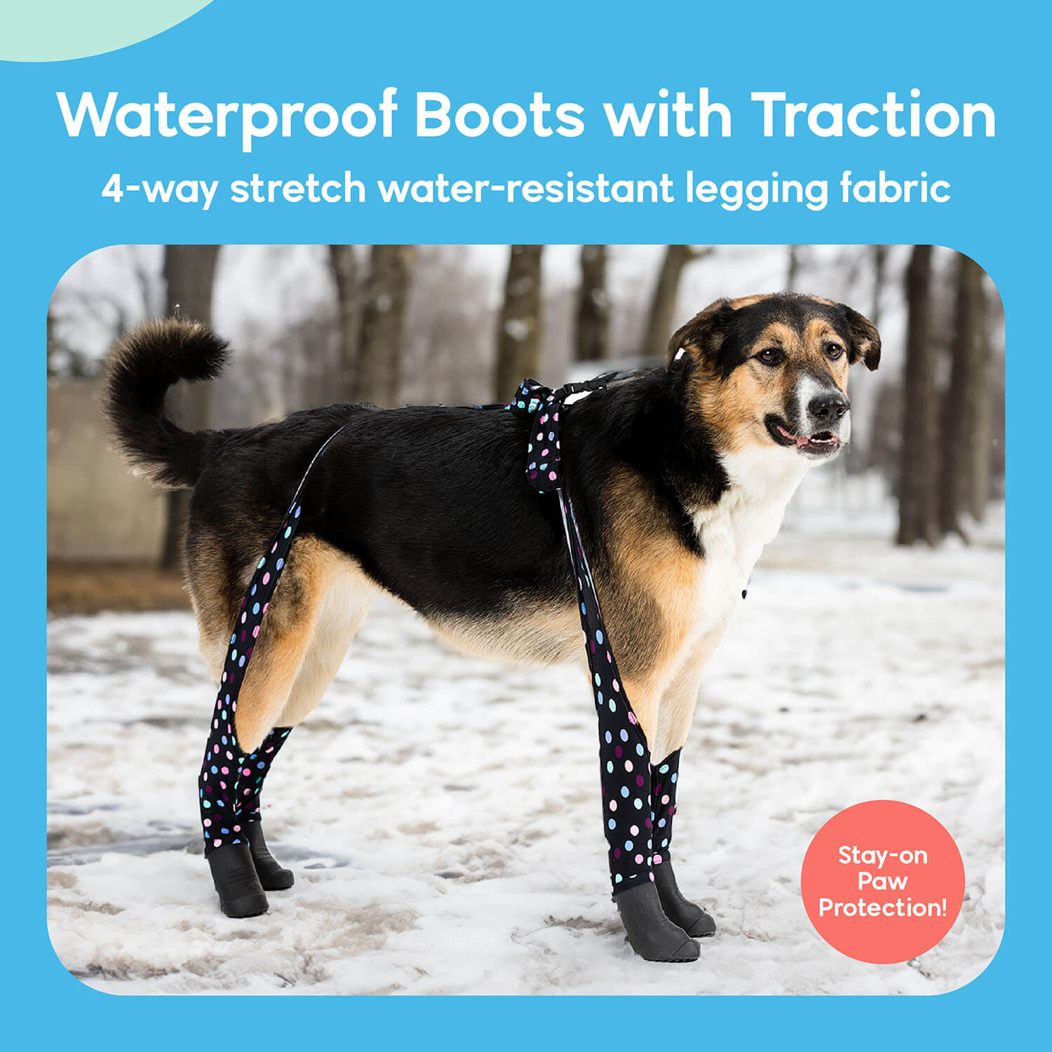 Waterproof Dog Boot Leggings for Winter Walks, Seam-Free TPE Paw Covers and Full-Leg Protection source image 54
