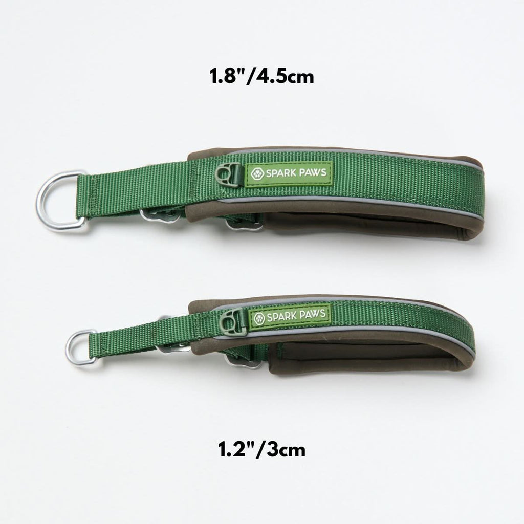 Cushioned Martingale Dog Collar for Gentle Leash Guidance, Limited-Cinch Design in Five Sizes source image 54