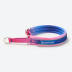 Cushioned Martingale Dog Collar for Gentle Leash Guidance, Limited-Cinch Design in Five Sizes source image 55