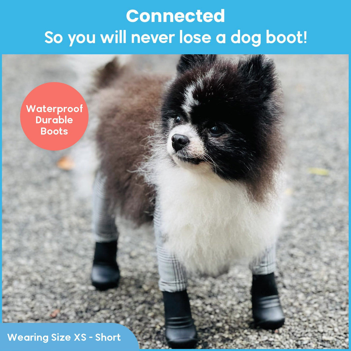 Waterproof Dog Boot Leggings for Winter Walks, Seam-Free TPE Paw Covers and Full-Leg Protection source image 55