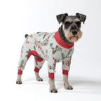 Mistletoe Christmas Dog Pajamas M