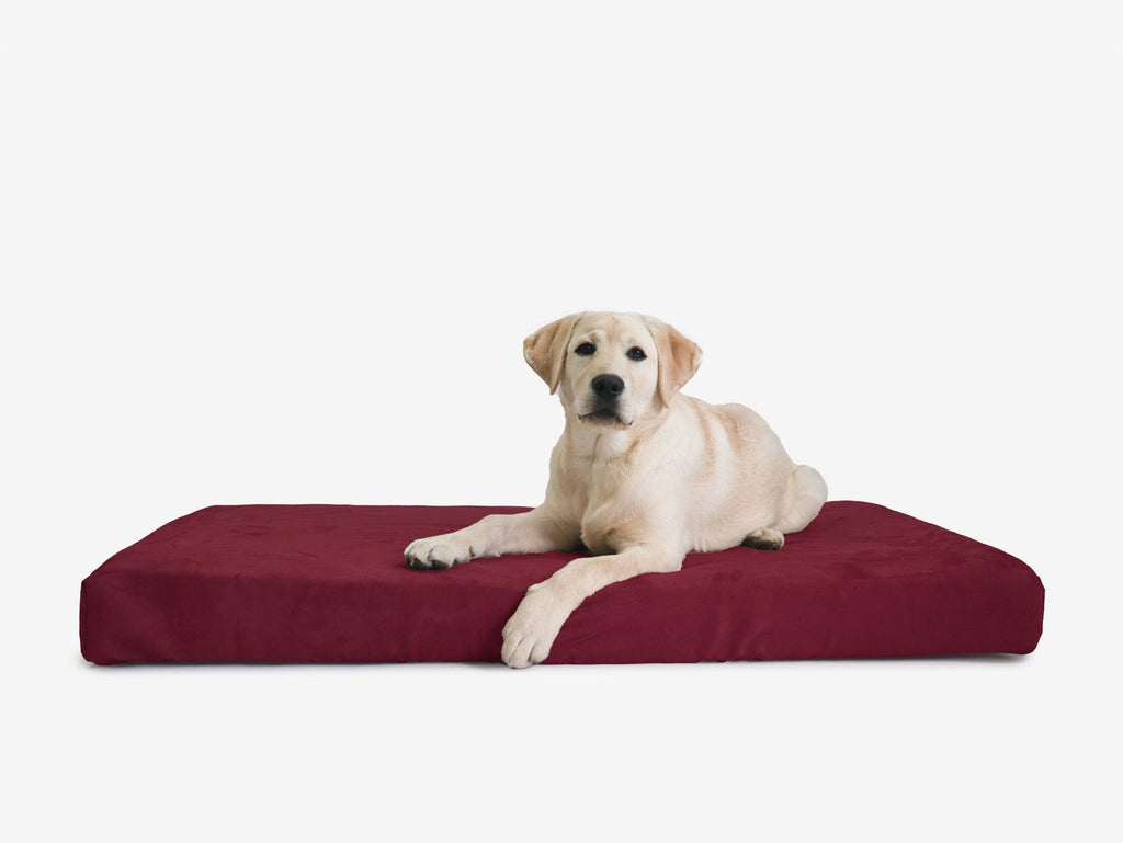 Orthopedic Dog Crate Bed product image 16