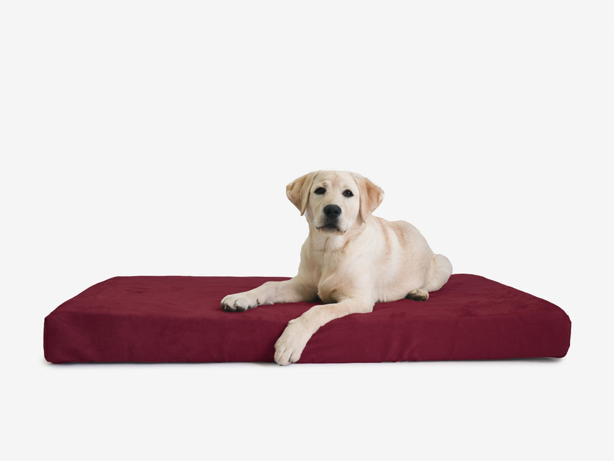 Orthopedic Dog Crate Bed product image 16