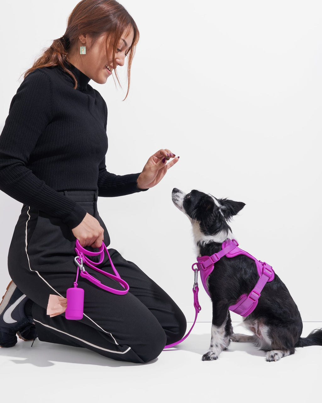 Leash-Attached Dog Waste Bag Dispenser product image 23