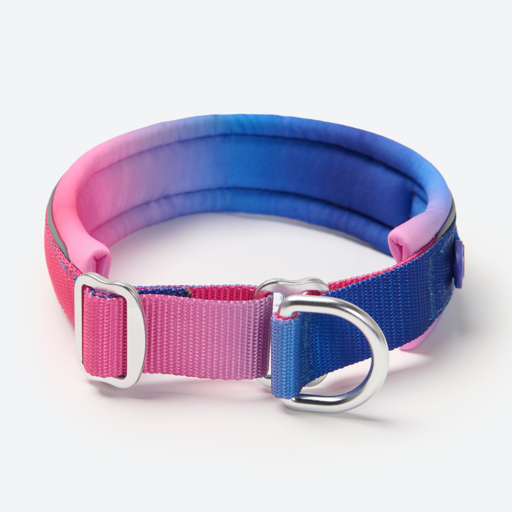 Cushioned Martingale Dog Collar for Gentle Leash Guidance, Limited-Cinch Design in Five Sizes source image 61