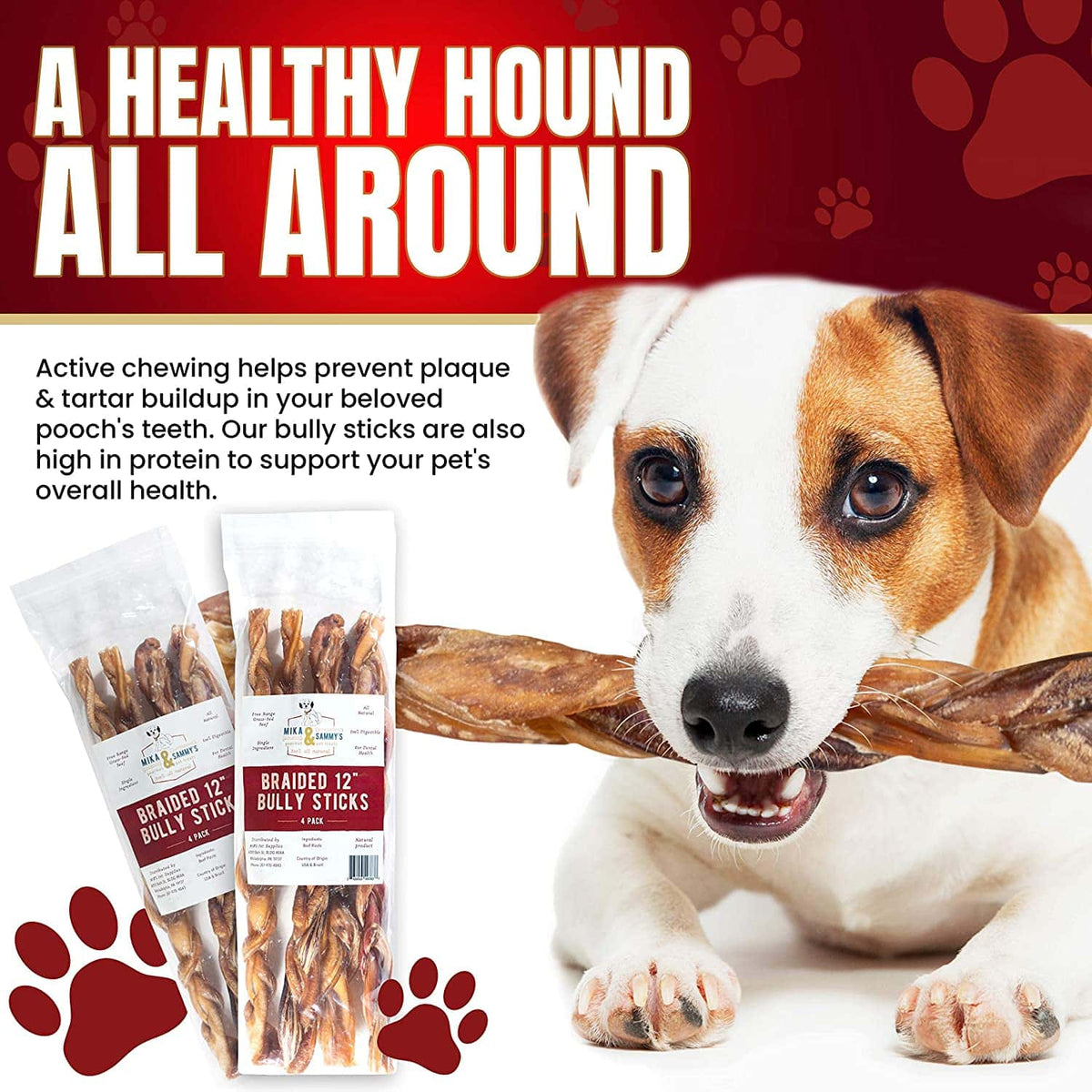 12-Inch Braided Bully Stick product image 6