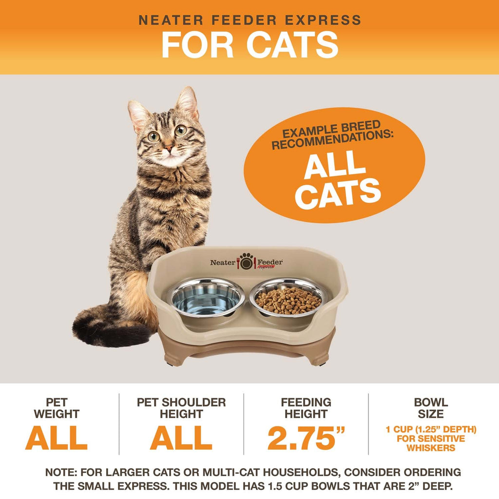 Elevated Mess-Proof Pet Feeding Station, Spill-Containment Design and Dishwasher-Safe Stainless Steel Bowls source image 62