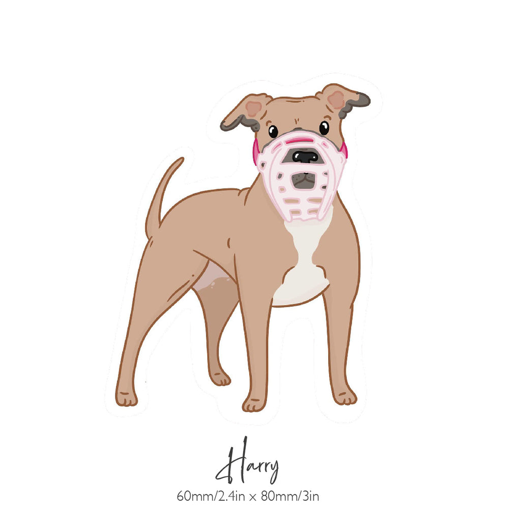 Basket Dog Muzzle product image 62