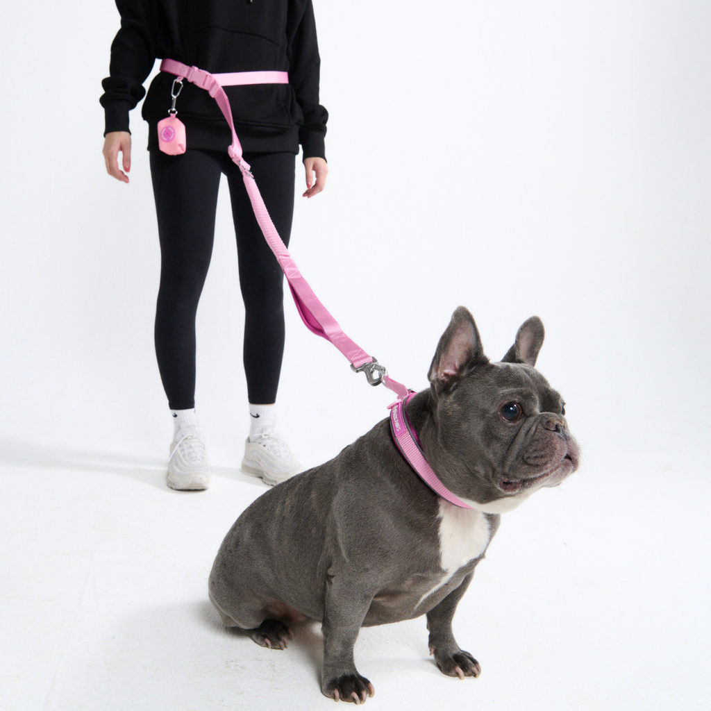 Hands-Free Dog Leash and Waste Bag Holder Set, Bungee Control and Dual Handles for Everyday Walks source image 63