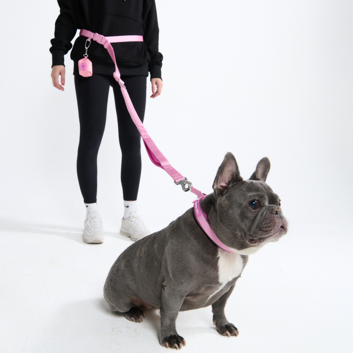 Hands-Free Dog Leash and Waste Bag Holder Set, Bungee Control and Dual Handles for Everyday Walks source image 63