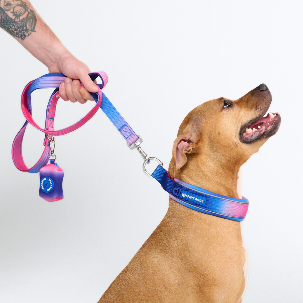Cushioned Martingale Dog Collar for Gentle Leash Guidance, Limited-Cinch Design in Five Sizes source image 63