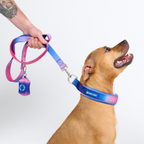 Cushioned Martingale Dog Collar for Gentle Leash Guidance, Limited-Cinch Design in Five Sizes source image 63