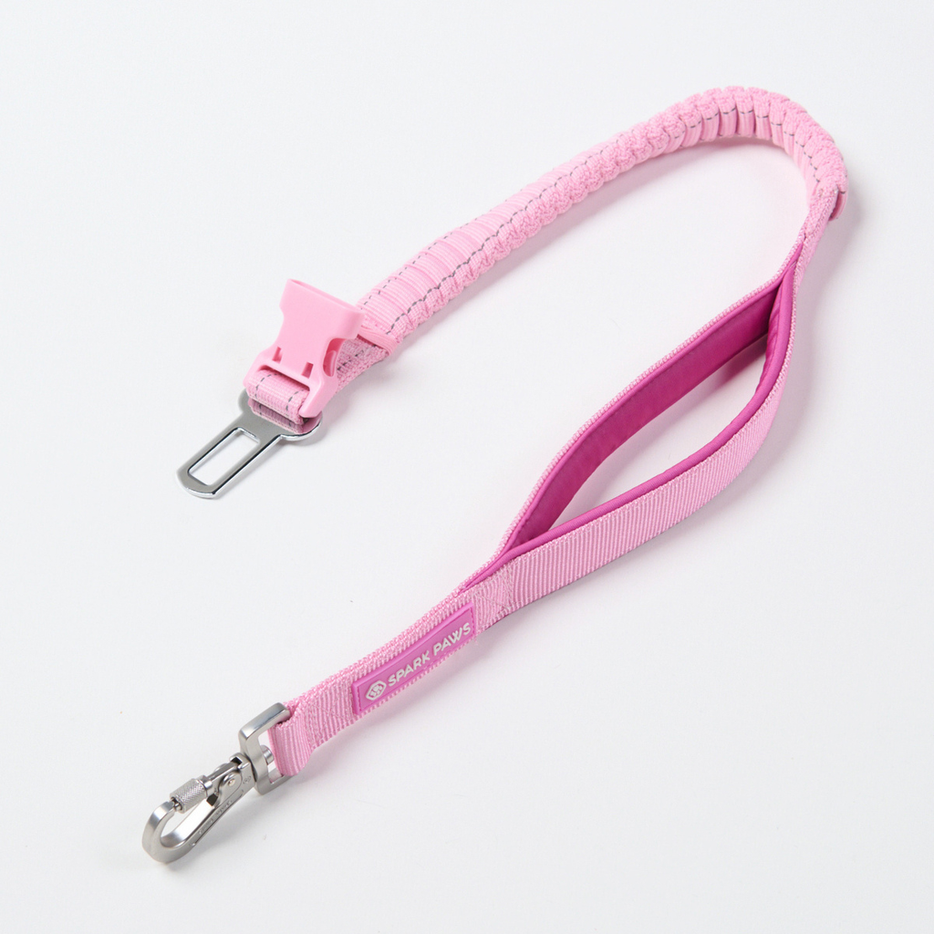 Hands-Free Dog Leash and Waste Bag Holder Set, Bungee Control and Dual Handles for Everyday Walks source image 64