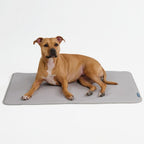 Breathable Cooling Dog Mat product image 31