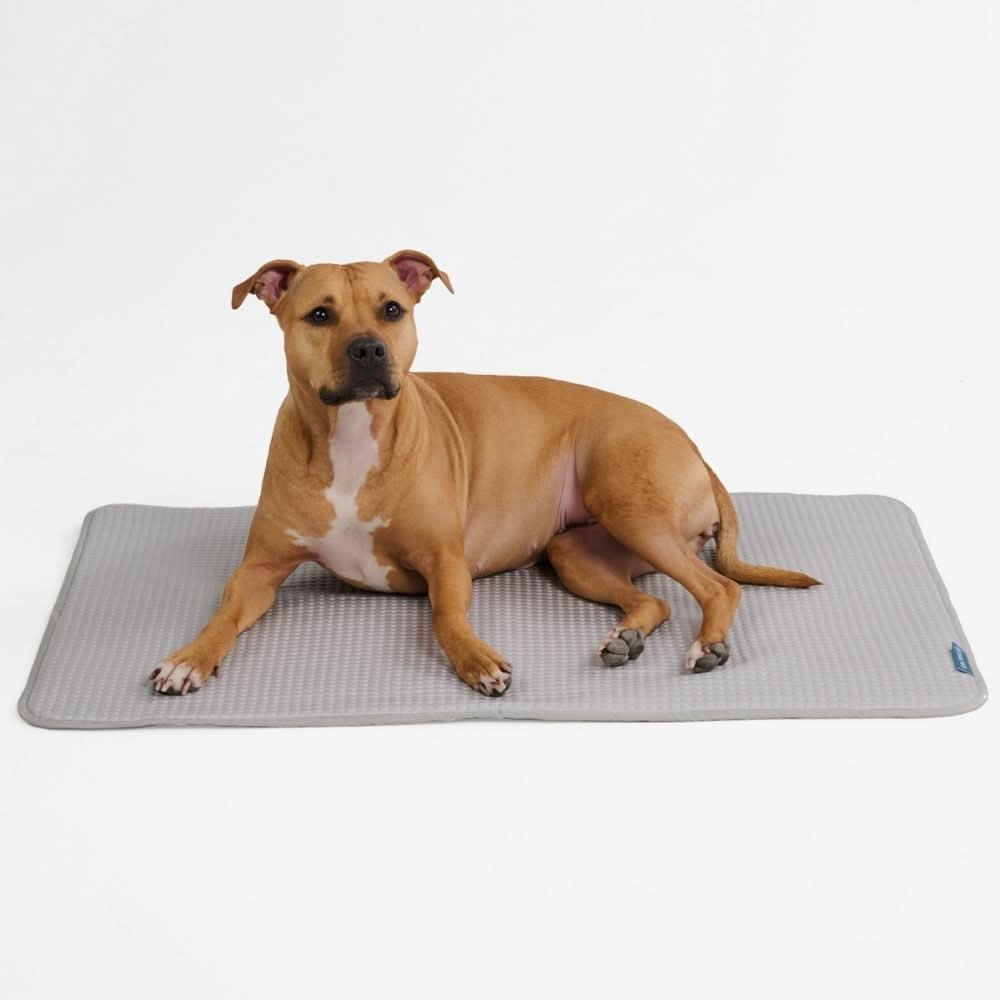 Breathable Cooling Dog Mat product image 31