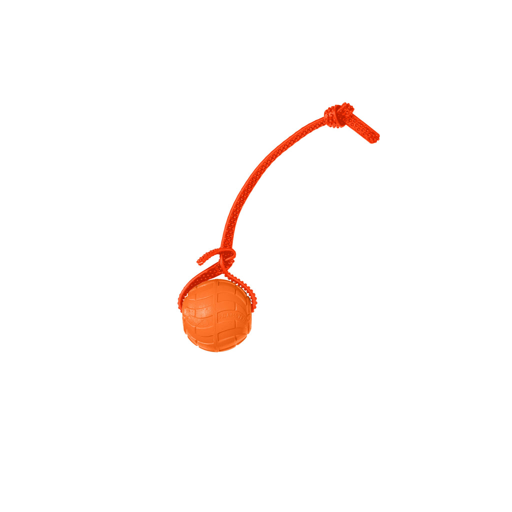 Foam Dog Ball with Grip Strap product image 65