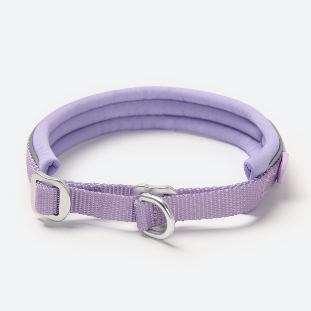 Cushioned Martingale Dog Collar for Gentle Leash Guidance, Limited-Cinch Design in Five Sizes source image 66