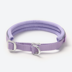 Cushioned Martingale Dog Collar for Gentle Leash Guidance, Limited-Cinch Design in Five Sizes source image 66