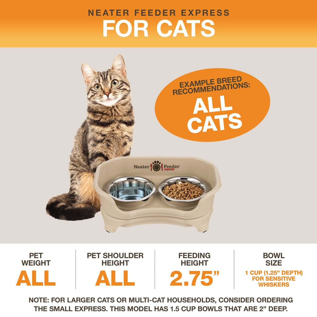 Elevated Mess-Proof Pet Feeding Station, Spill-Containment Design and Dishwasher-Safe Stainless Steel Bowls source image 67
