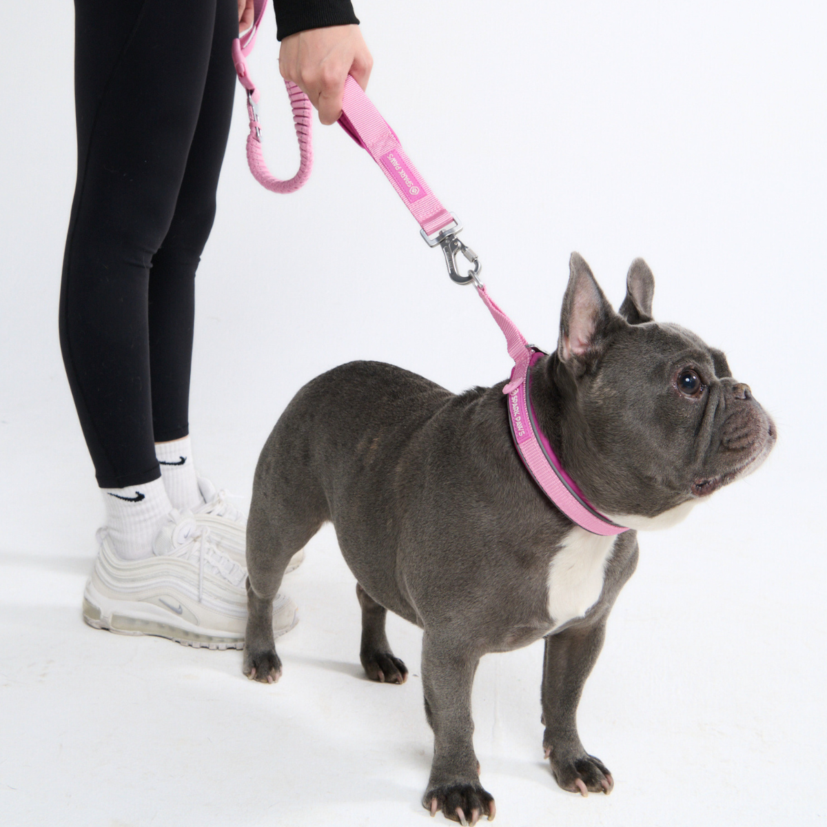 Hands-Free Dog Leash and Waste Bag Holder Set, Bungee Control and Dual Handles for Everyday Walks source image 69