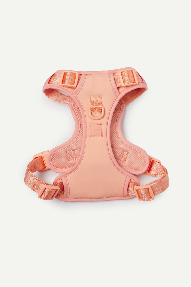 Hands-Free Dog Walking Set for Waist or Shoulder Wear, Neoprene Harness and Compact Pouch Bundle source image 69
