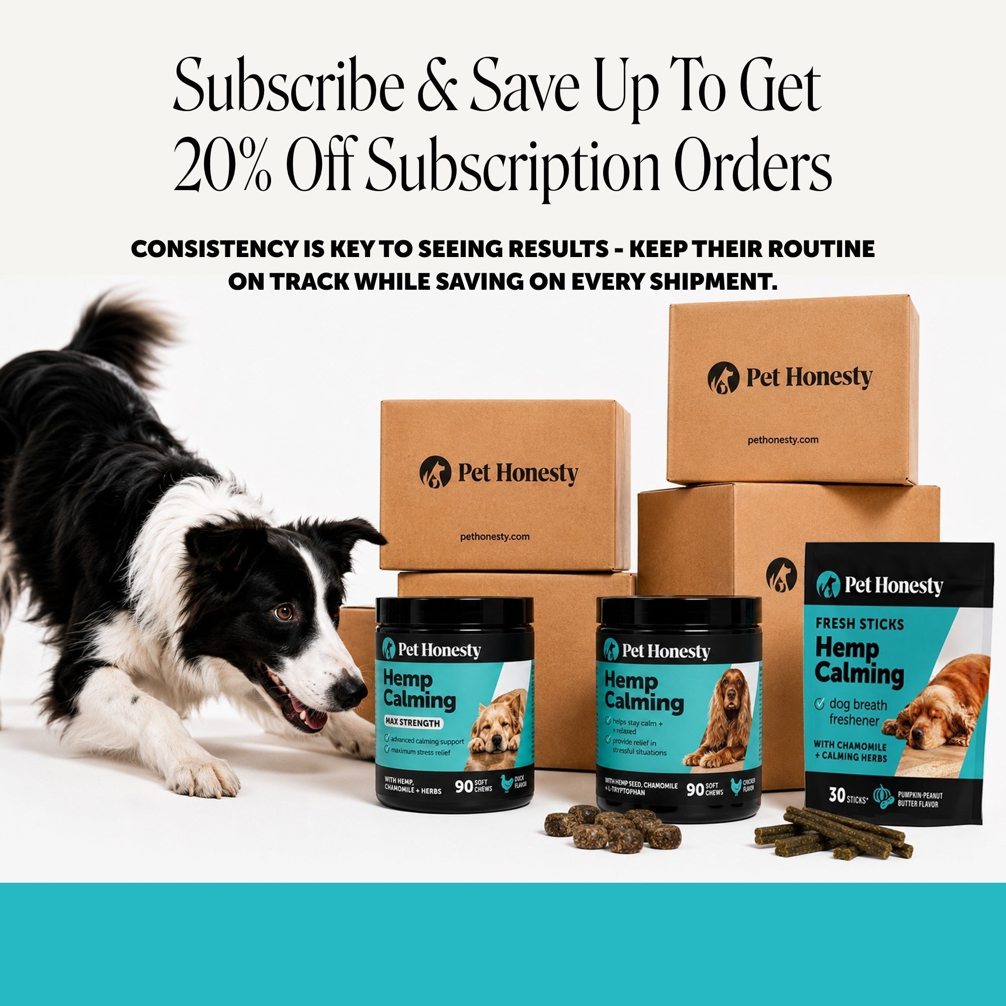 Hemp Calming Soft Chews for Dogs product image 9