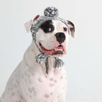 Knit Pom-Pom Dog Beanie product image 7