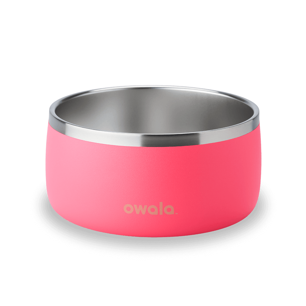 Stainless Steel Pet Bowl product image 8