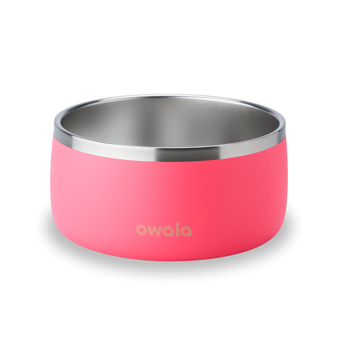 Stainless Steel Pet Bowl product image 8