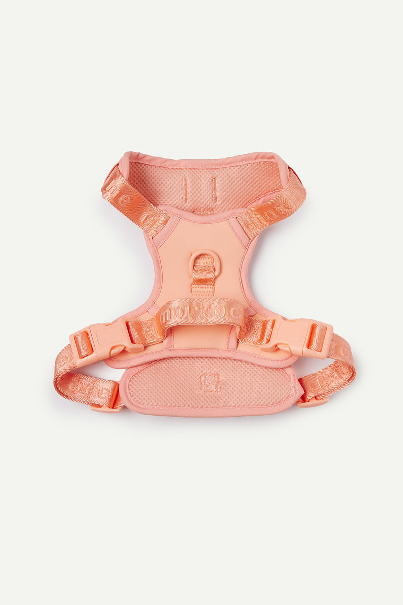 Hands-Free Dog Walking Set for Waist or Shoulder Wear, Neoprene Harness and Compact Pouch Bundle source image 70