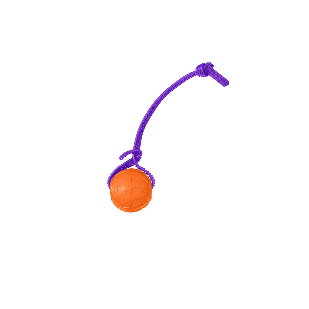 Foam Dog Ball with Grip Strap product image 70