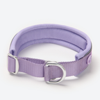 Cushioned Martingale Dog Collar for Gentle Leash Guidance, Limited-Cinch Design in Five Sizes source image 71