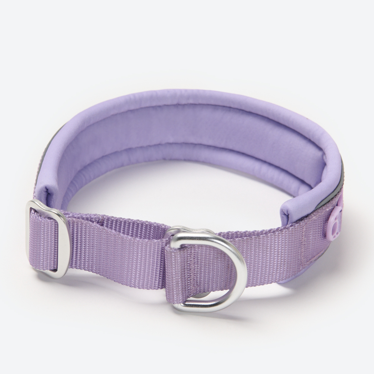Cushioned Martingale Dog Collar for Gentle Leash Guidance, Limited-Cinch Design in Five Sizes source image 71