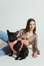 Hands-Free Dog Walking Set for Waist or Shoulder Wear, Neoprene Harness and Compact Pouch Bundle source image 71